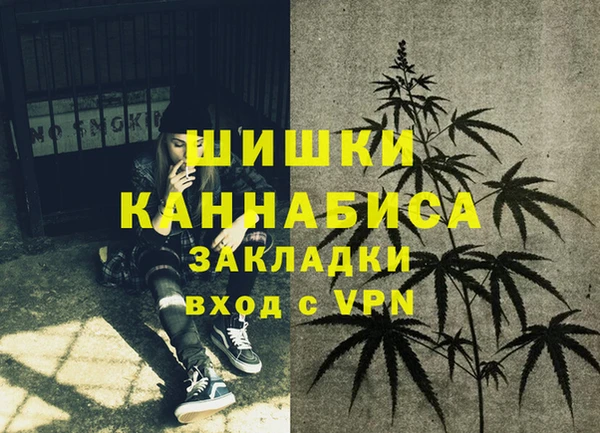 МДПВ Гусев