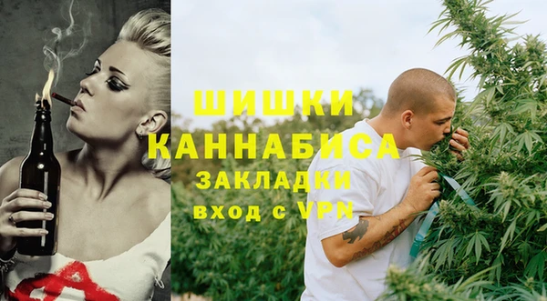 МДПВ Гусев