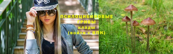 МДПВ Гусев