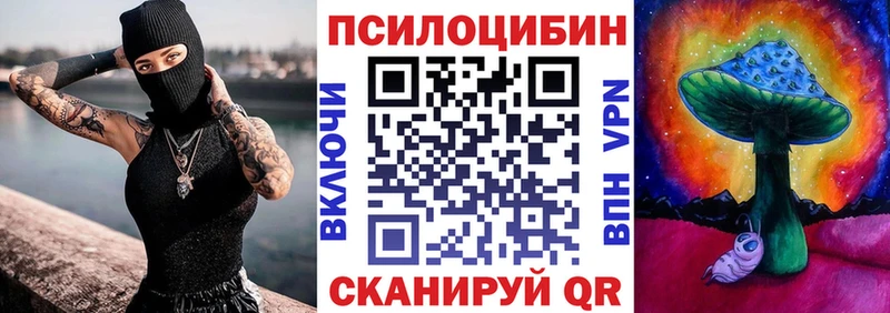 Купить закладки  Когалым  Галлюциногенные грибы Psilocybe 